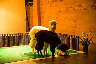 传任天堂每卖出一台Switch 2仅赚4美元